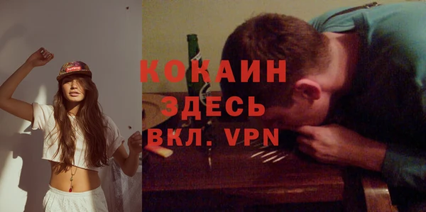 соль ск Каменногорск