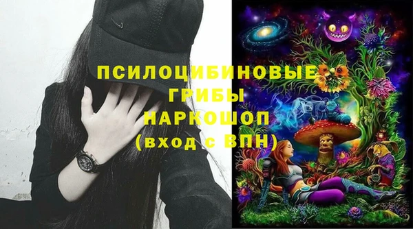 mdpv Иннополис