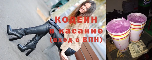 соль ск Каменногорск