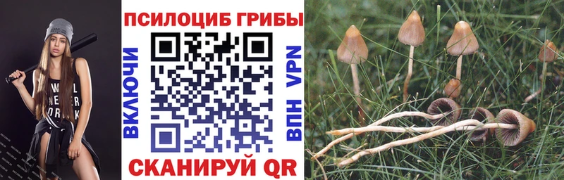 Псилоцибиновые грибы GOLDEN TEACHER  кракен маркетплейс  Новопавловск 